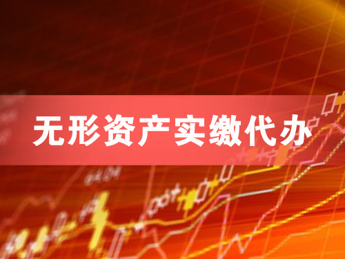 陆丰无形资产实缴资本代办