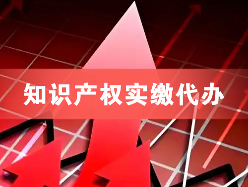 陆丰知识产权实缴资本代办